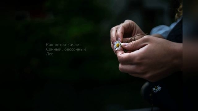 Руки люблю [песня на стих Цветаевой] смотреть онлайн
