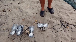 Как ловить раков на чеснок или  #Раколовка зонт против самодельной раколовки из бутылки?