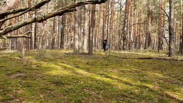 Тихаяохота, лес грибы.Украина