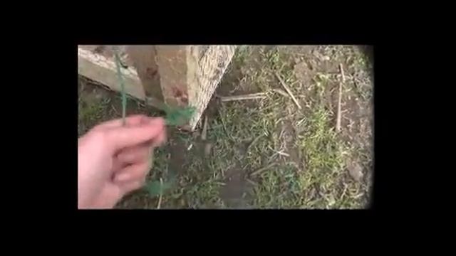 Homemade Rat Trap Humane 7 rats 1st catch, 5 rats the next day! смотреть онлайн