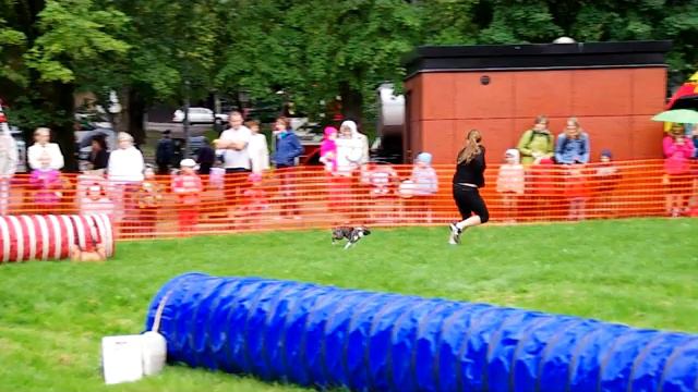 01.09.2012. Agility võistlus Tartus. Grace смотреть онлайн