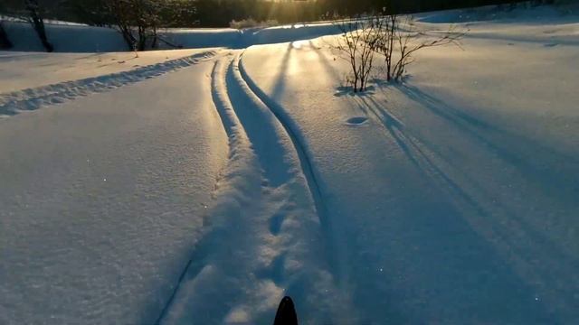 катаю по лесу на стелс капитане, смотреть онлайн