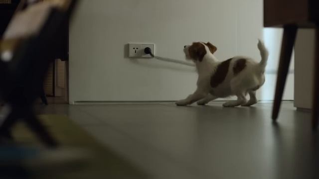 LG CordZero™: История одного пылесоса смотреть онлайн