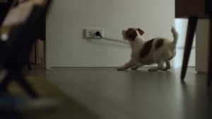 LG CordZero™: История одного пылесоса