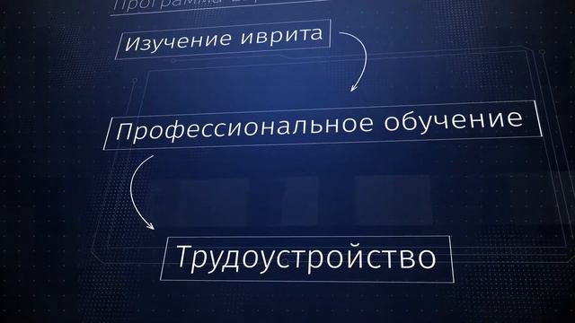 Профессиональные программы смотреть онлайн