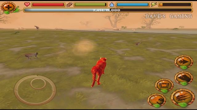 ?#Cheetah Simulator ?- Part2 -# Gluten Free games - #iTunes/#Google Play смотреть онлайн