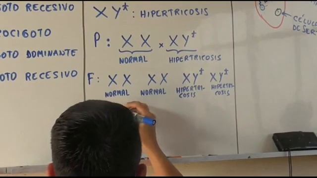 Biologia 12 Genética II - Pedro Pedrozo смотреть онлайн