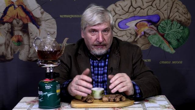 Жизнь хвоста смотреть онлайн