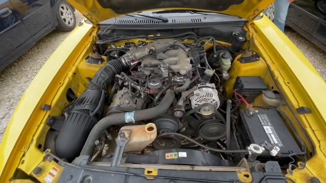 1999 Ford Mustang 35th Anniversary смотреть онлайн