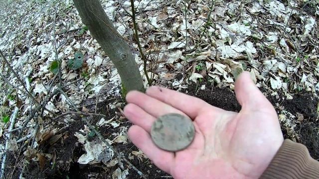 Поиск металлоискателем в лесу №60 смотреть онлайн