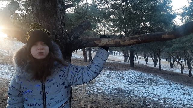 Марина Казарина - Наступает Новый год смотреть онлайн