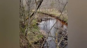 Хари-катха Юпитеру, упайи, Юпитер