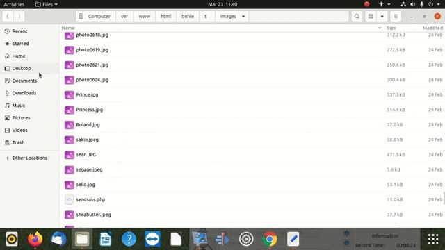How To Insert An Image Into A Pdf Using Pdflib