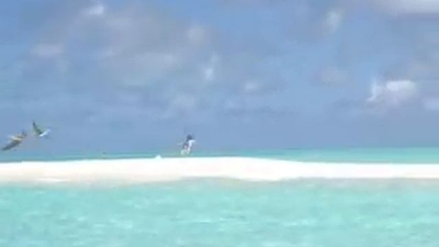 MALDIVES - HORSBURGH ATOLL - BAA ATOLL смотреть онлайн
