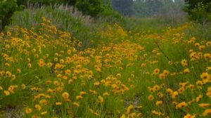 Над Окой   !!!