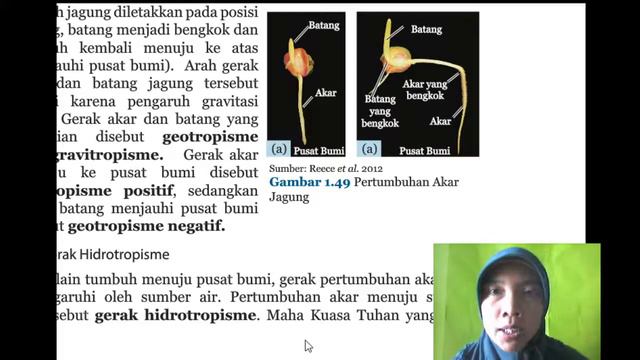 Gerak pada tumbuhan Kelas 8 Semester 1 смотреть онлайн