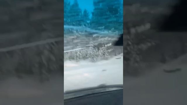 По ходу приехали ? #shorts #car #offroad #toyota #авто