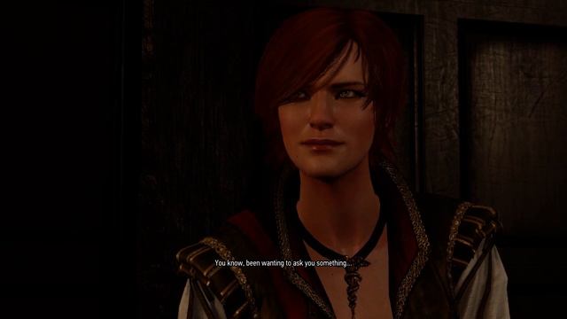 Geralt asks a very important question to Shani смотреть онлайн