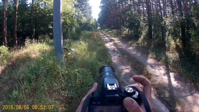 Орловский рысак Петербург смотреть онлайн