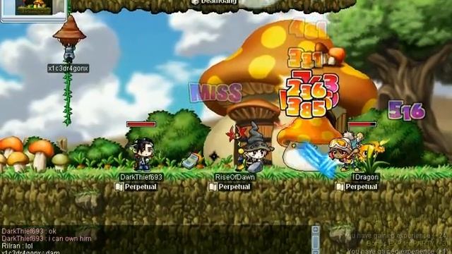 Perpetual Guild Party MMing