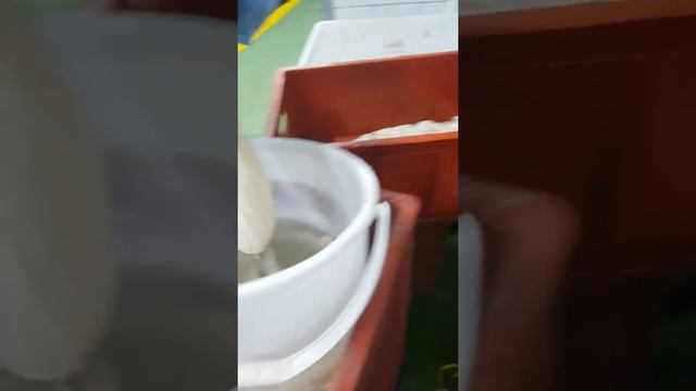 Хазарский. Синюга 115+ проливка