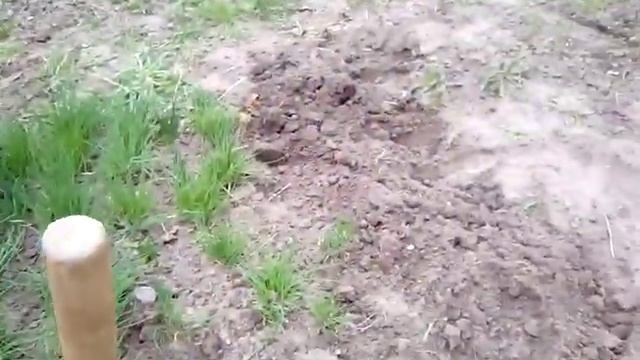 СТРОИМ ТЕПЛИЦУ ПОД ЦЕЛОФАН, С БРУСКОВ смотреть онлайн