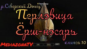 Русская Рыбалка 4 Донец  Перловица + Ёрш-носарь  25.05
