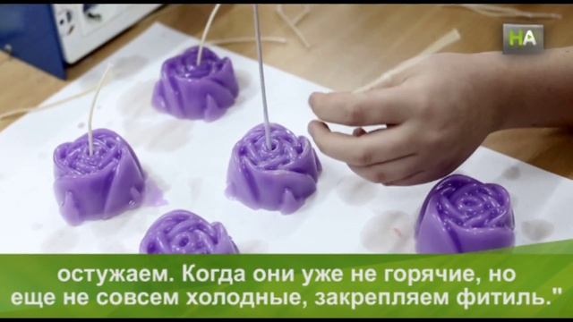 НА Кордовские школьники учатся применять теорию на практике смотреть онлайн
