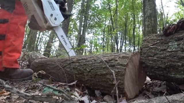 #251 Testing Battery Powered STIHL MSA 200 Chainsaw смотреть онлайн