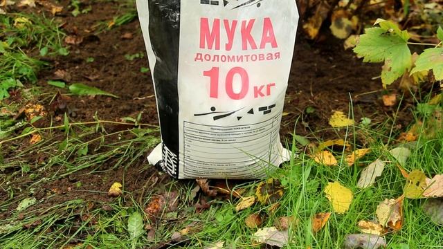 В томатной теплице в сентябре, или зелёные помидоры, удобрения, почва смотреть онлайн