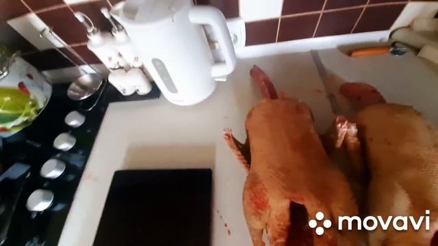 МУЛАРДЫ НА ИНТЕНСИВНОМ ОТКОРМЕ, Я В ШОКЕ ОТ ВЕСА смотреть онлайн