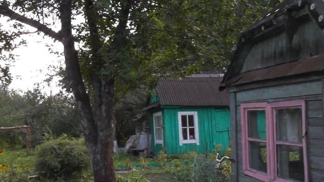 \дайте в руки мне гармонь\на природе\на нижегородск гармони от самородка\самоучки\в\конце\заело\кла смотреть онлайн