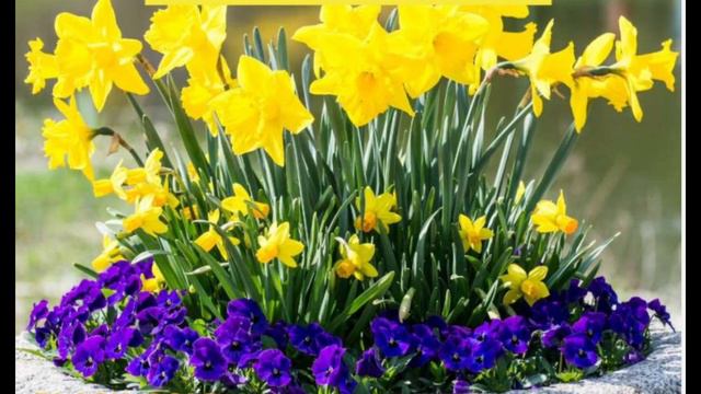 Spring Gardening | Early Spring Blooming Flowers | Spring Flower Garden | Spring Plants | смотреть онлайн