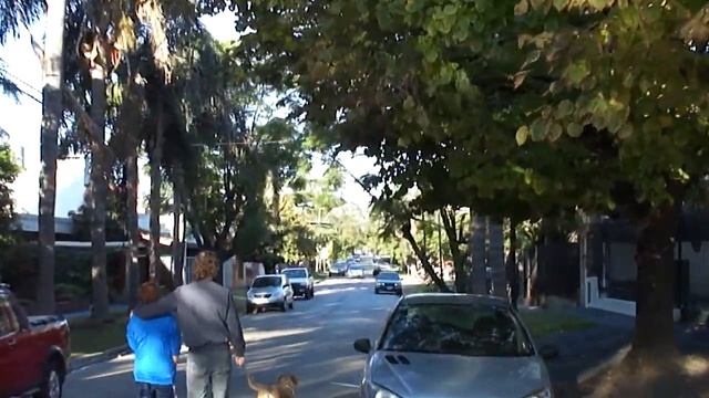Video Test Sony DSC-H70 смотреть онлайн