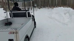 Грузовой электромобиль с гарантией и сервисом.ERUZO CART#golfcar#электрокары#сити кар драйвинг голь