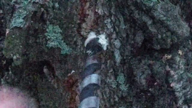 Сделай Сам для Здоровья