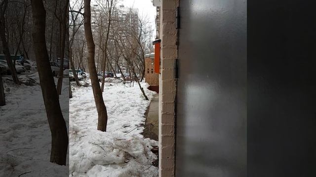 звук ветра в домофоне, свист 17 февраля 2019 г. смотреть онлайн