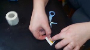 ставим уши чихуахуа (raise ears chihuahua)