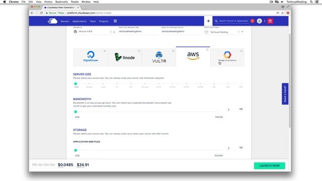 How to Install WordPress on Cloudways VPS, Easy Method! смотреть онлайн