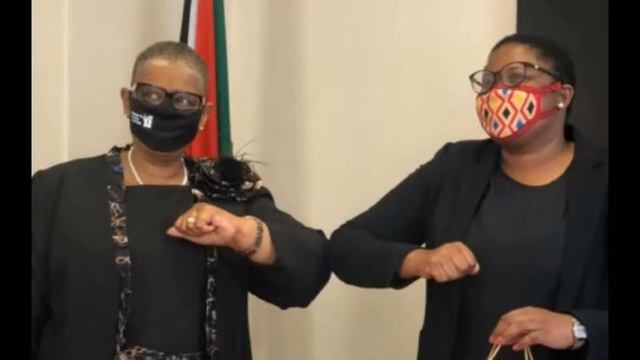 ANC Corruption, PPE Tenders by Diko's. #ZandileGumede, South Afrrican Youtuber смотреть онлайн