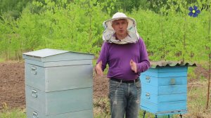 Линии Карники: Варроатолеранц, Тройзек, Пешец