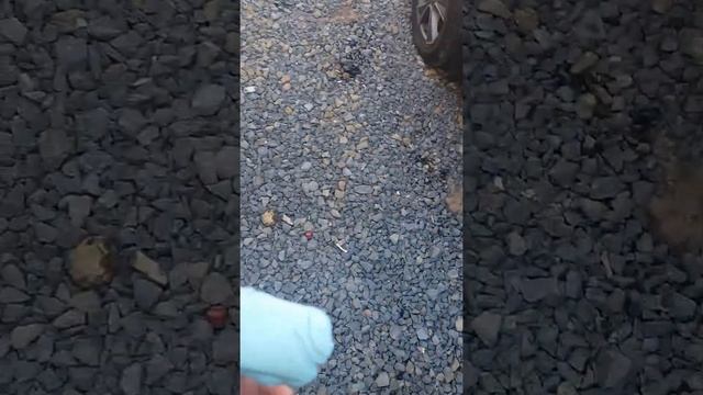 Удаление опыла с автомобиля смотреть онлайн