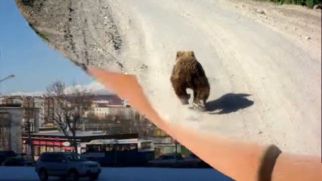 клип Камчатка смотреть онлайн