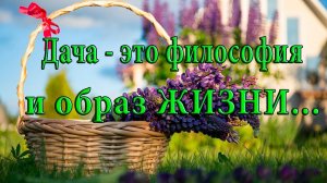 Дача  - это философия и образ жизни  *