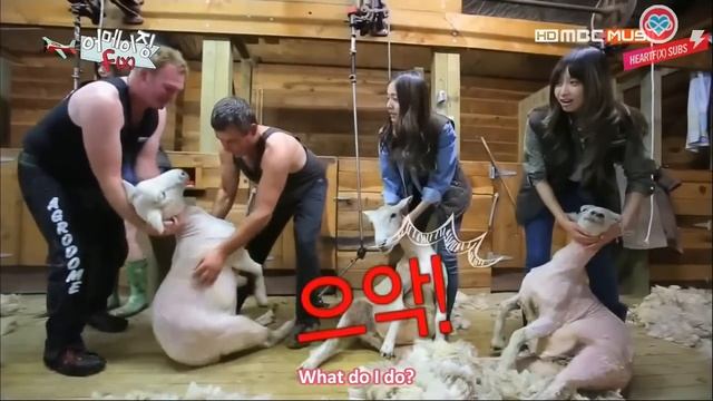 [HeartfxSubs] 130611 Amazing f(x) Episode 3 (Part 4) смотреть онлайн