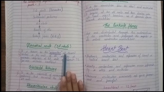Conducting System Of Heart In Hindi | SA Node | AV Node | Bundle Of His | Blood Flow #conducting смотреть онлайн