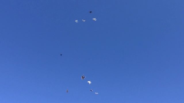 Голуби на балконе. Полёт голубей. Выходной. смотреть онлайн