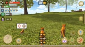 РОЖДЕНИЕ КОТЕНКА #5 Симулятор КОТА и КОШКИ с Кидом. Баги. Охота на Босса мышь, паука на пурумчата