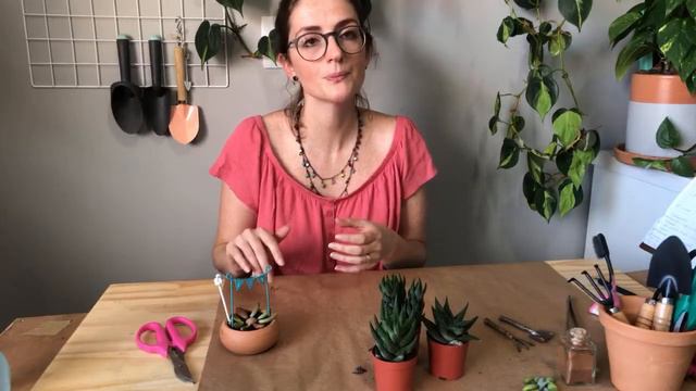 Suculentas: LIVE#1 - Como fazer um berçário de suculentas, mudas e brotinhos 🌵😘 смотреть онлайн