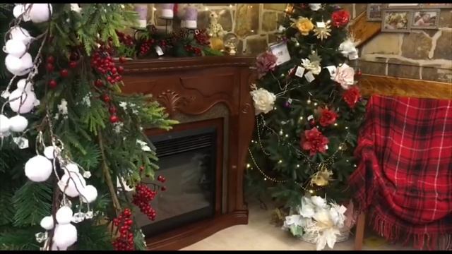 Когда выбрасывать елку ?ЭТО ДОЛЖЕН ЗНАТЬ КАЖДЫЙ !!! смотреть онлайн